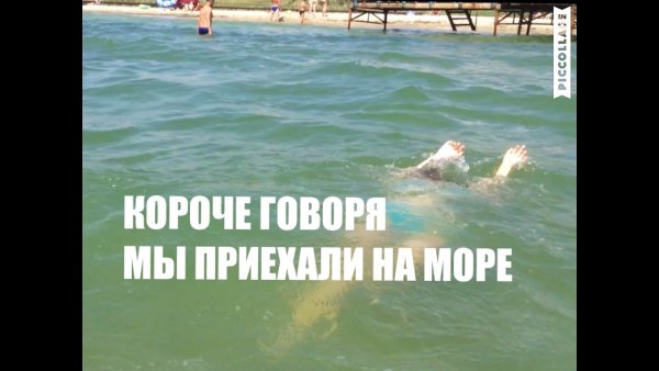 Собака едет в отпуск