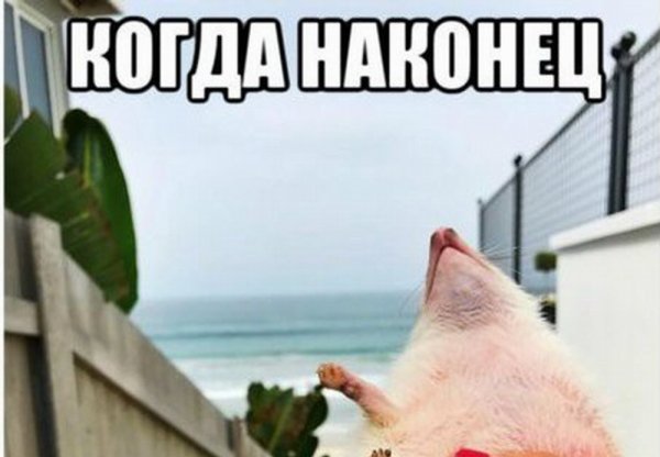 Душой на море