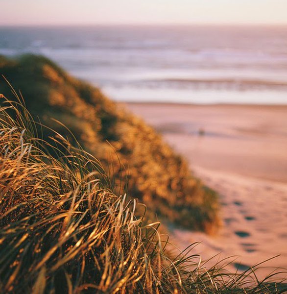 Море жди меня