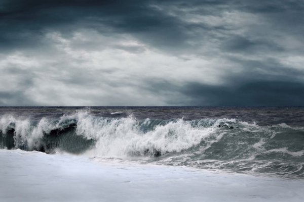 Юлия Тымчук