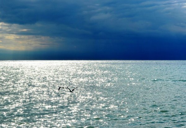 Буря шторм на черном море