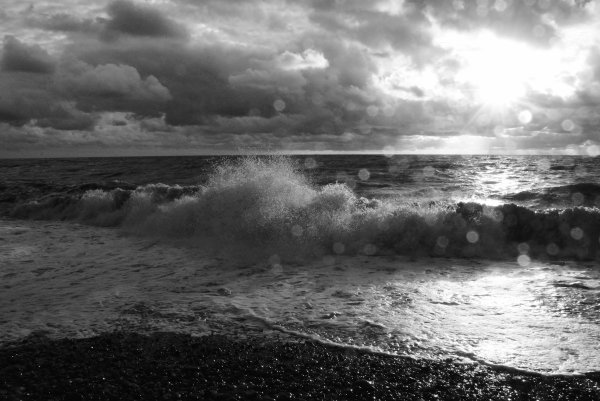 Море черно белое фото