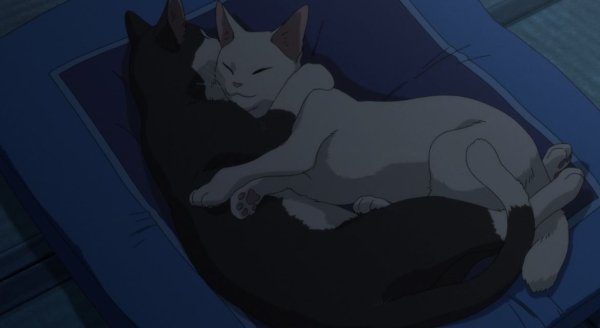 Мио и Шун незнакомец на берегу моря