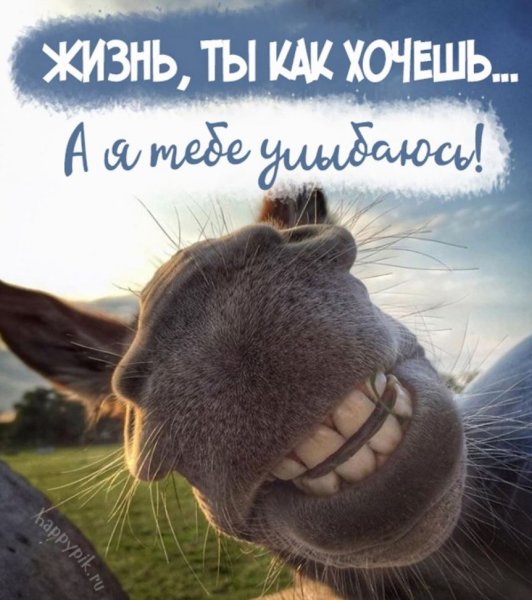 Море позитива и хорошего