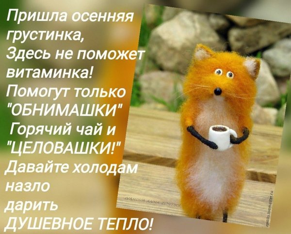 Позитивные статусы для поднятия настроения в картинках