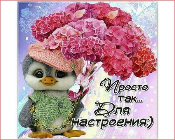 Отличного дня море