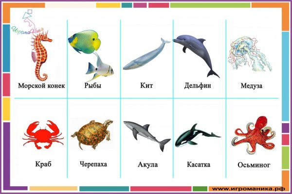 Морские животные для детей