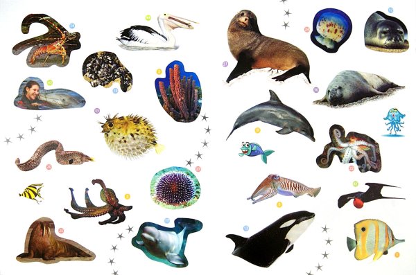 Обитатели моря для детей