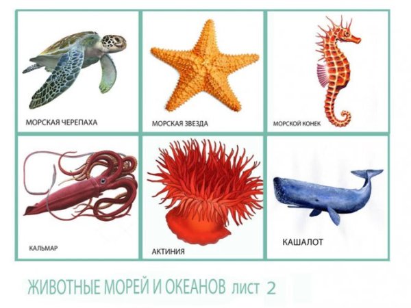 Обитатели моря для детей