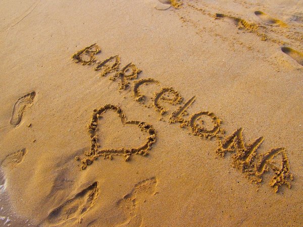 Цветы на песке