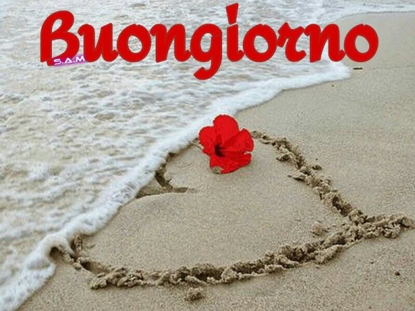 С добрым утром море