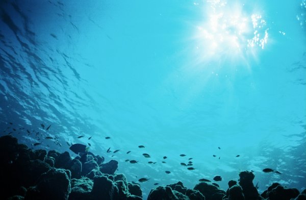 Море под водой