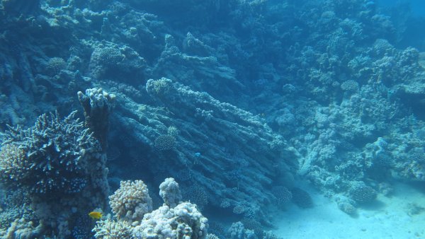 Морские глубины