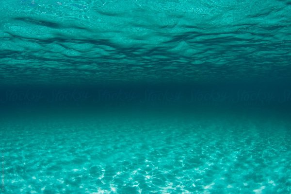 Толщи воды
