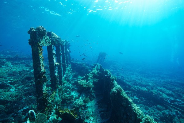 Морское дно