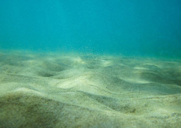 Дно моря