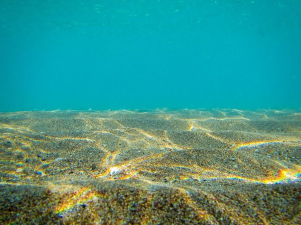 Морское дно