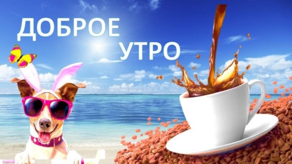 Доброго воскресенья на море