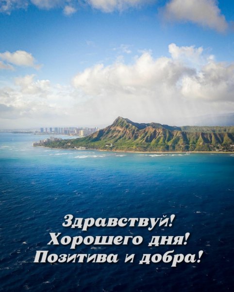 Открытки с морским приветом