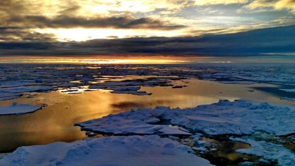 Море Лаптевых