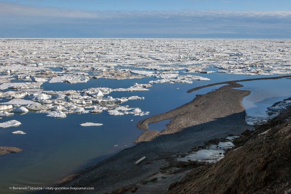 Промысел в море Лаптевых