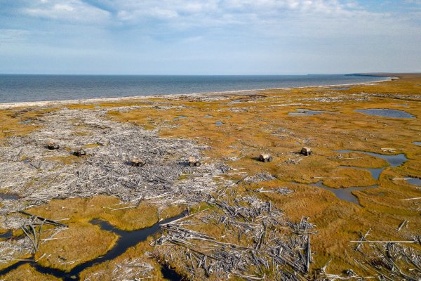 Море Лаптевых замерзло