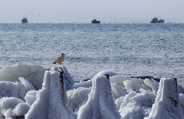 Таймыр побережье моря Лаптевых