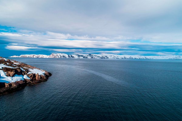 Баркнцево море тереберг