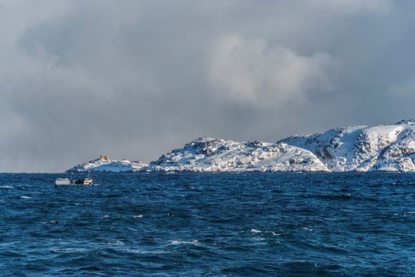 Что такое Баренцево море Баренцева моря
