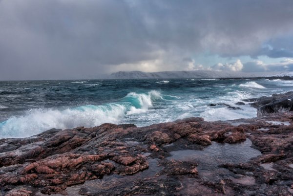 Баркнцево море тереберг