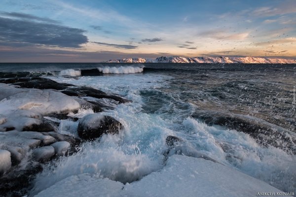 Баренцево море Норвегия