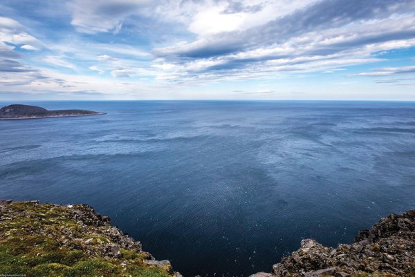 Баренцево море Териберка