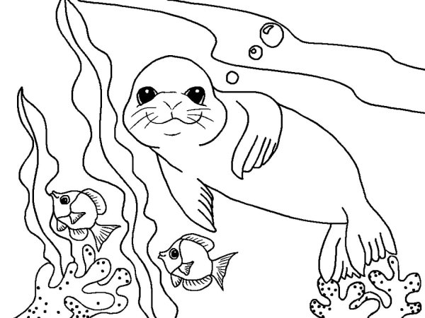 Раскраска "морские жители"