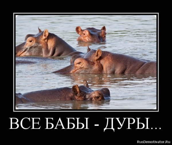 Анекдоты про лето