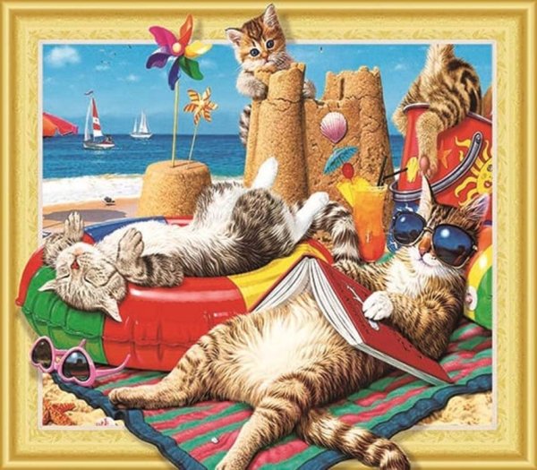 Кошка на берегу моря