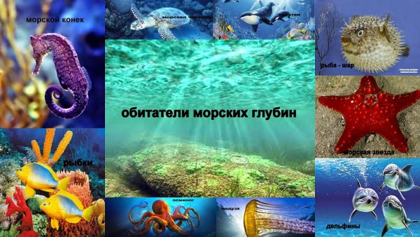 Морские обитатели презентация