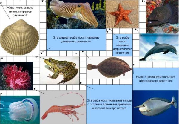 Кроссворд обитатели морей и океанов