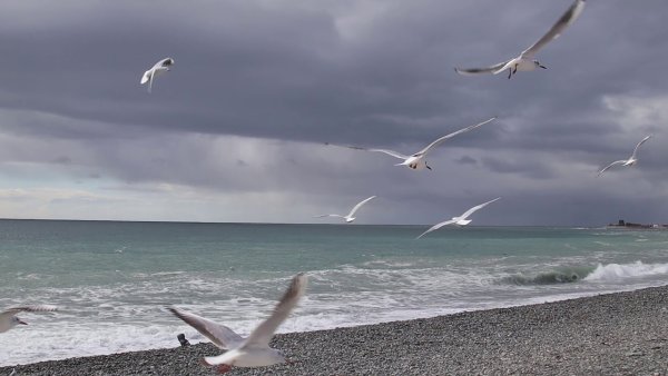 Обои на рабочий стол море Сочи