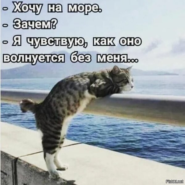 Море волнуется без меня
