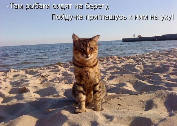 Ненавижу море