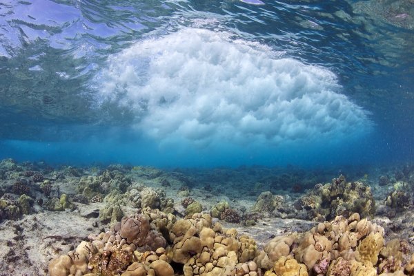 Красота моря