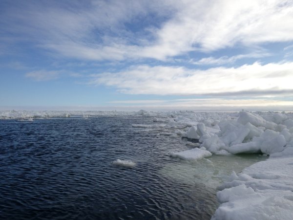 Белое море Евразия