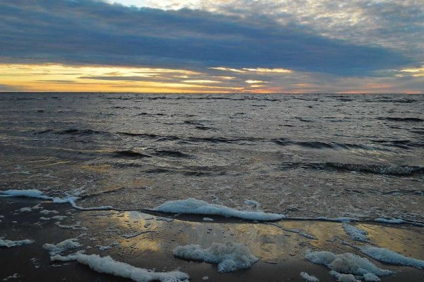 Южный берег белого моря