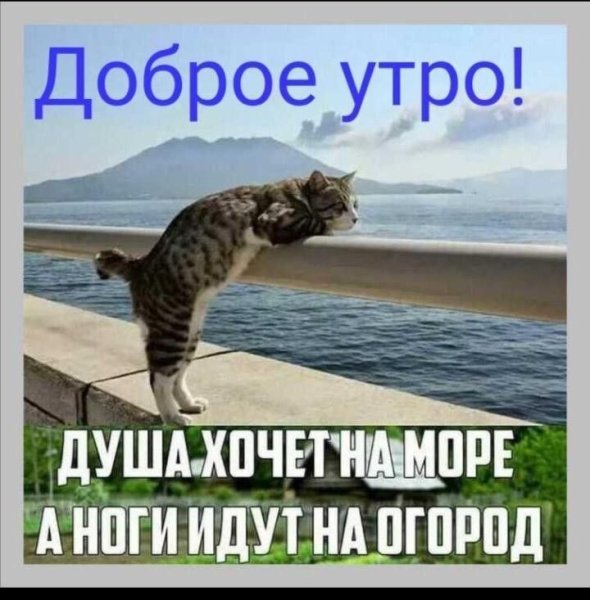 Анекдоты про лето в картинках