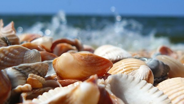 Плитка Легенда Кировская керамика