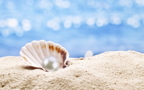 Пейзаж на ракушке