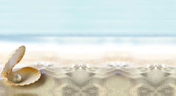 Весы Hitt HT-6105