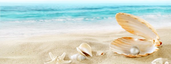 Ракушечный пляж в Дербенте