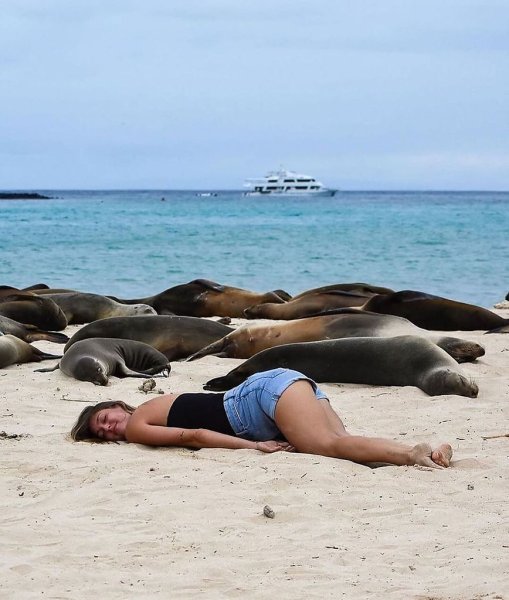 Цитаты про отпуск