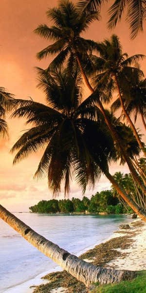 Тропический остров